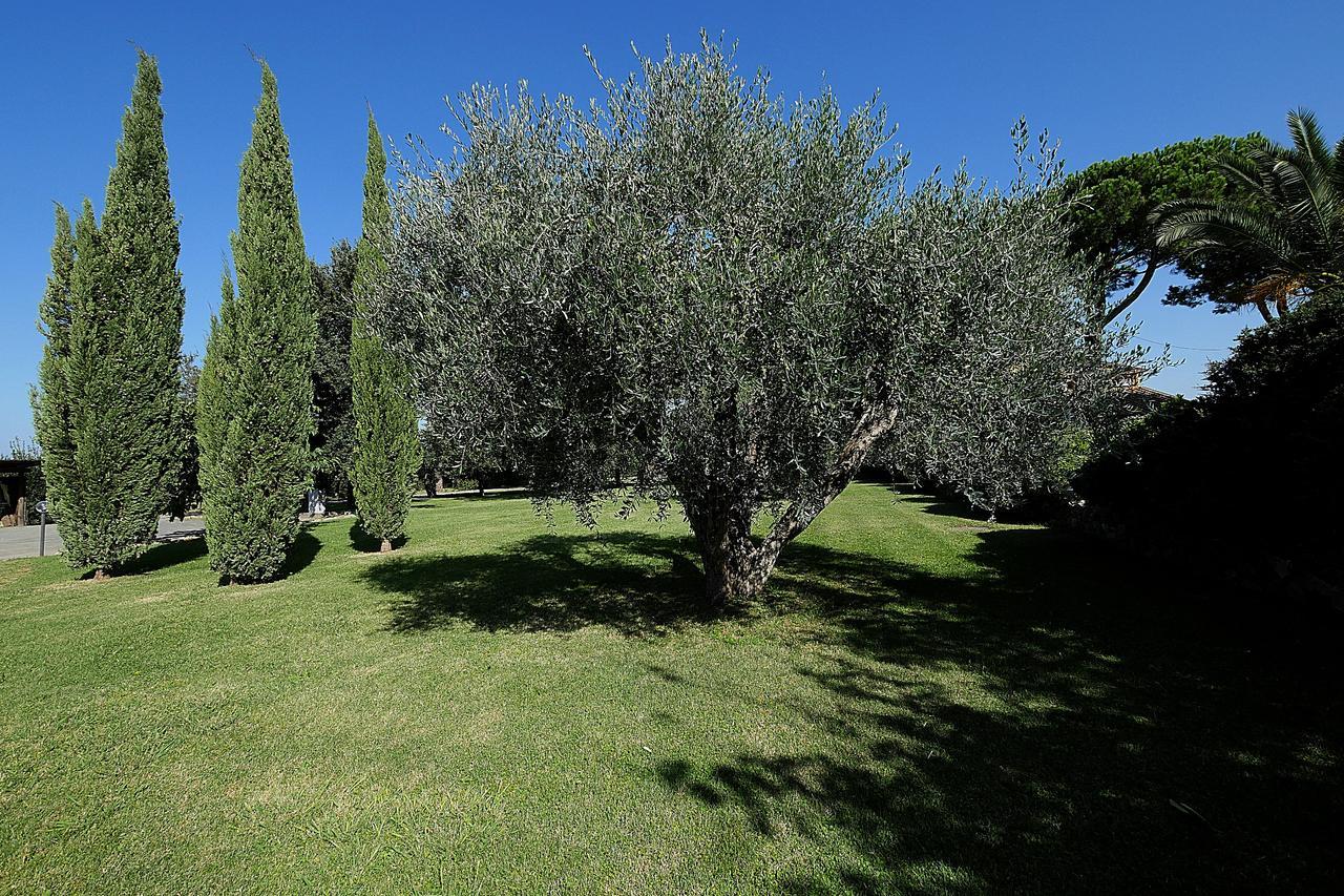 Agriturismo Il Pelago Castagneto Carducci Εξωτερικό φωτογραφία